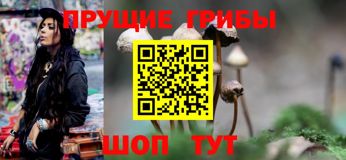 Семёнов  Псилоцибиновые грибы Magic Shrooms  Псилоцибиновые грибы ЛСД  Вход с VPN 